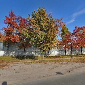 Hromadska vulytsia, 60, : foto