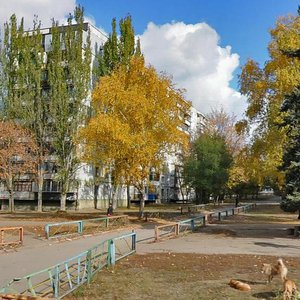 Vulytsia Bocharova, 8, Zaporizhia: photo