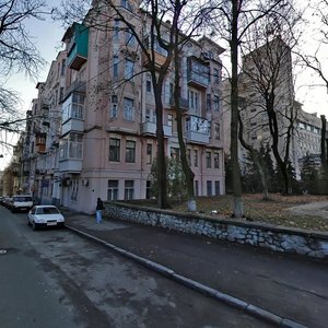 Chehovsky Lane, 11, Kyiv: photo