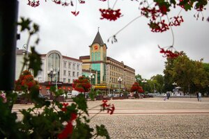 Pobedy Square, No:4А, Kaliningrad: Fotoğraflar