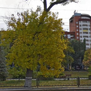 Саратов, Астраханская улица, 140: фото