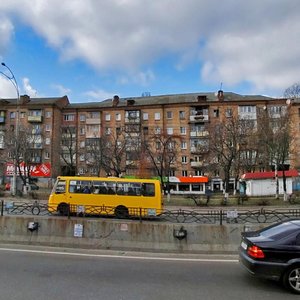 Oleny Telihy Street, 29, Kyiv: photo