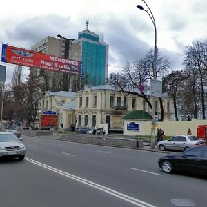 Viacheslava Chornovola Street, 28/1к2, Kyiv: photo