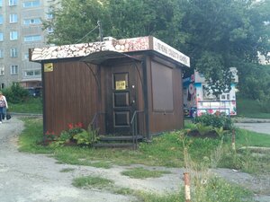 Ulitsa Fedoseyeva, 24/2к1, Novosibirsk: photo