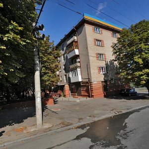 Dmytra Yavornytskoho Avenue, 2, Dnipro: photo