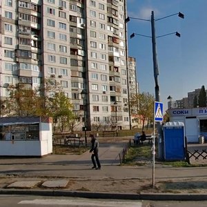 Romana Shukhevycha Avenue, 2, Kyiv: photo