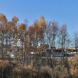 Dorozhnaya ulitsa, 60, Irkutsk Oblast: photo