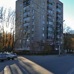 Gagarina Street, 83А, Ryazan: photo