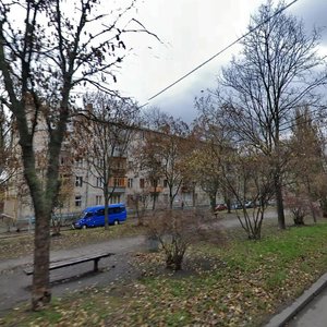 Marii Pryimachenko Boulevard, 2, Kyiv: photo