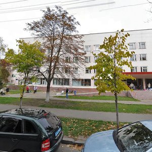 Levka Matsiievycha Street, 12, Kyiv: photo