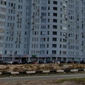 Mykoly Bazhana Avenue, 10, Kyiv: photo