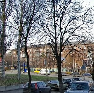 Druzhby Narodiv Boulevard, 21, Kyiv: photo