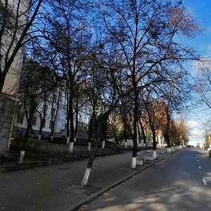 Volodymyrska Street, 66, Kyiv: photo