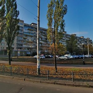 Heroiv Stalinhrada Avenue, 19А, Kyiv: photo