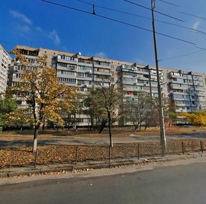 Teodora Draizera Street, 10, Kyiv: photo