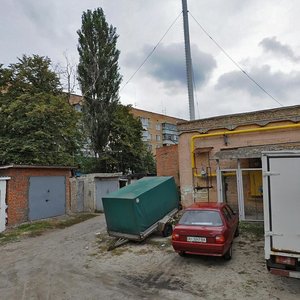 Shkilna vulytsia, 21, : foto
