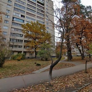 Anatoliia Petrytskoho Street, 5/9, Kyiv: photo