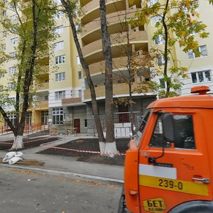 Stepana Vasylchenka Street, 3/24, : foto
