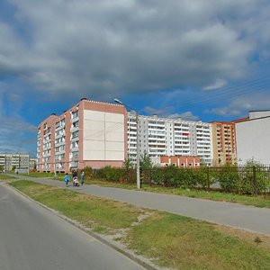 Череповец, Городецкая улица, 1: фото