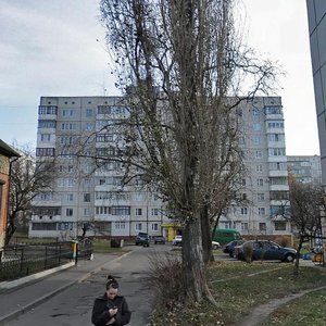 Vulytsia Dekabrystiv, 61, : foto