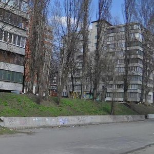 Borschahivska Street, 46/2 ، كييف: صورة