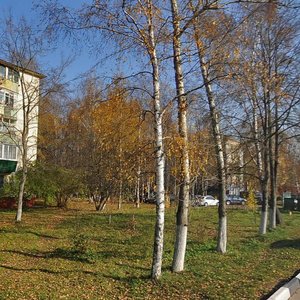 Sokolovskaya Street, 2, Himki: photo