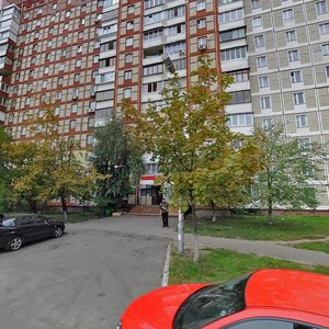 Volodymyra Maiakovskoho Avenue, 46, Kyiv: photo