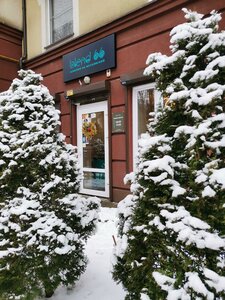 Зеленоградск, Московская улица, 66: фото