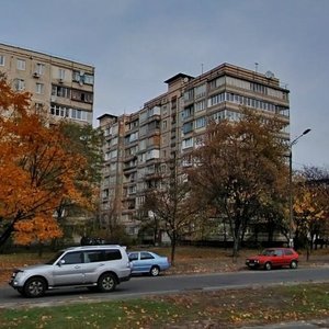 Cheliabinska Street, 1, Kyiv: photo