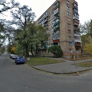 Novodarnytska Street, 27, Kyiv: photo