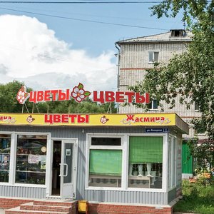 Томск, Иркутский тракт, 132А: фото