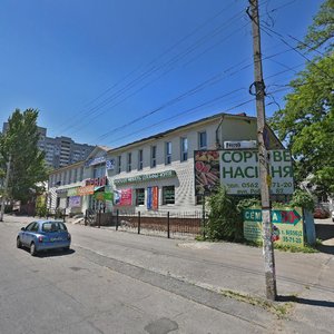 Robocha Street, 82, Dnipro: photo