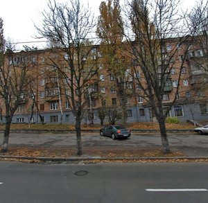 Stadionna Street, 6/12, Kyiv: photo