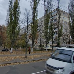 Yakuba Kolasa Street, 11, Kyiv: photo