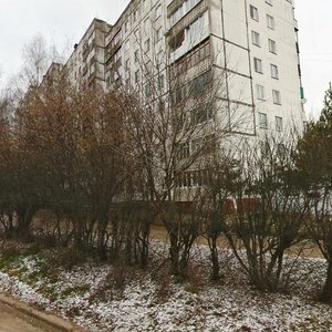 Gagarina Avenue, 226, Nizhny Novgorod: photo