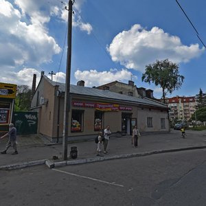 Horodotska vulytsia, 221, Lviv: photo