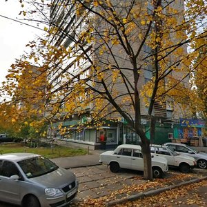 Rusanivska Embankment, 8/2, Kyiv: photo