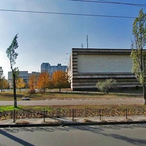 Volodymyra Maiakovskoho Avenue, 31, Kyiv: photo