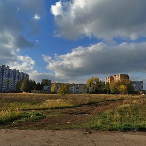 Shinnikov Avenue, 33А, Nizhnekamsk: photo