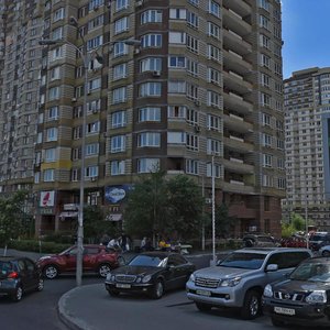 Petra Hryhorenka Avenue, 20, Kyiv: photo