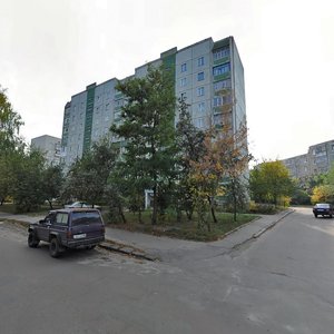 Vulytsia Henerala Pukhova, 115А, : foto