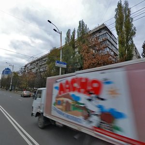 Yakuba Kolasa Street, 17, Kyiv: photo