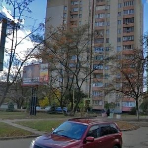 Yuriia Illienka Street, 5, Kyiv: photo