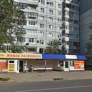 Mekhanizatorov Street, 24Ас1, Togliatti: photo