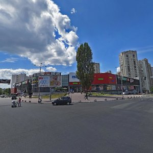 Mykoly Lavrukhina Street, 4, Kyiv: photo