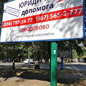 Vykonkomivska Street, 31, Dnipro: photo