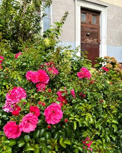 Grekova Street, 4А, : foto