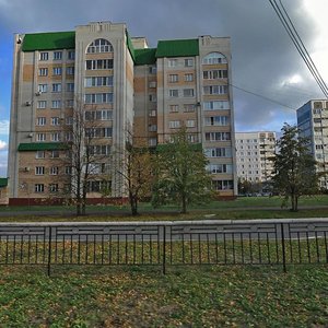 Shinnikov Avenue, 66, : foto