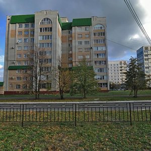 Shinnikov Avenue, 66, Nizhnekamsk: photo