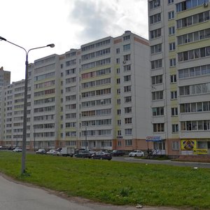 Raskolnikova Street, 42 ، نابريجني تشيلني: صورة